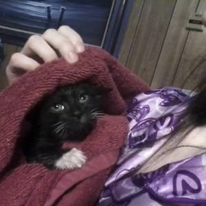 Meet your Posher, Kasandra